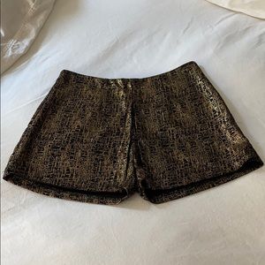 Black and gold dressy shorts